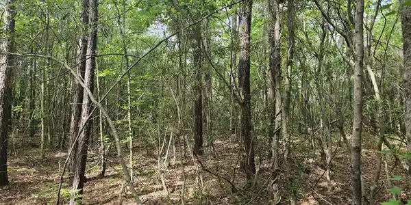 Image 3: 20240426_102045