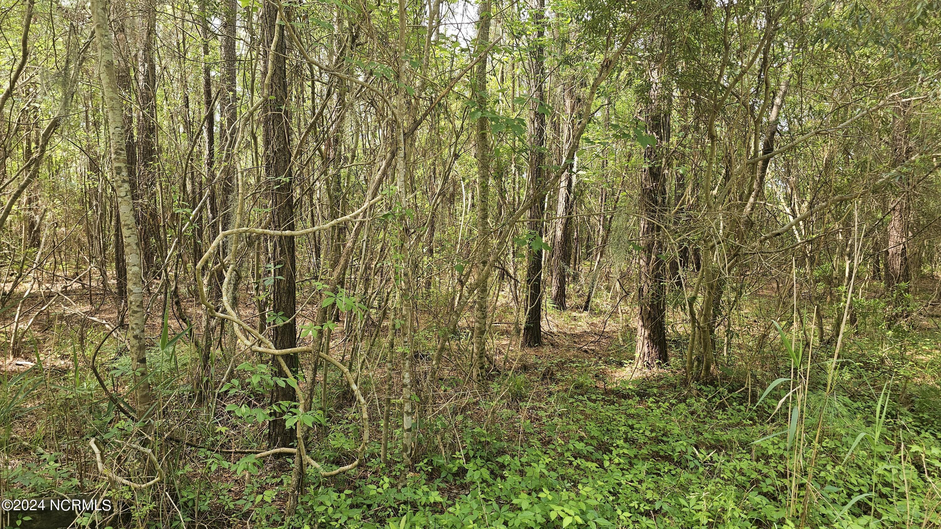 Image 4: 20240426_101947
