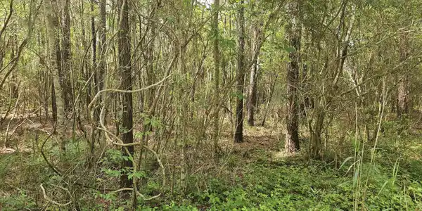 Image 4: 20240426_101947