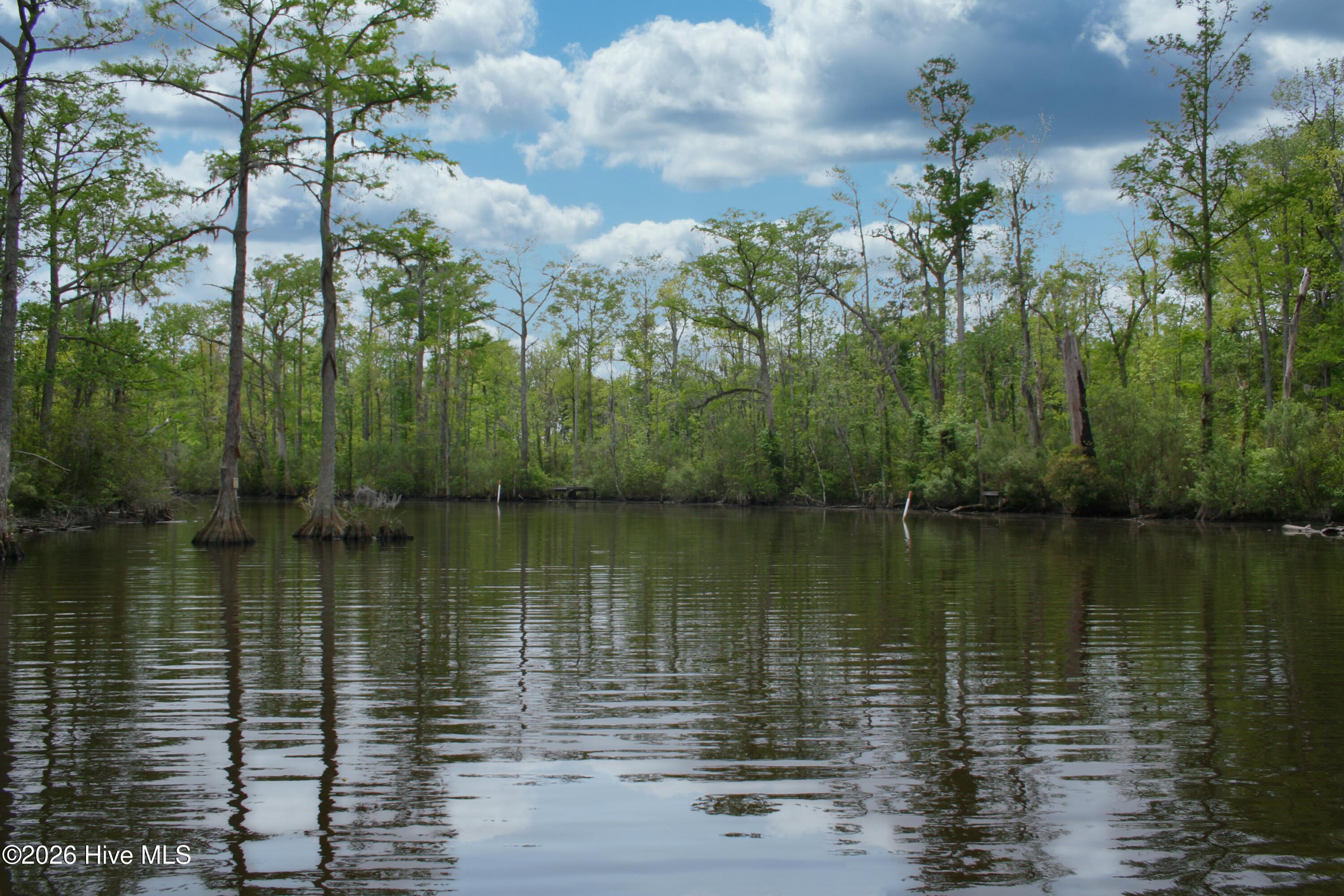 Image 1: Lunkers Creek