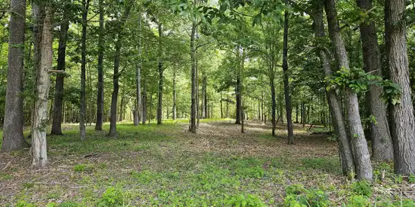 Image 2: DC_Lot58_1