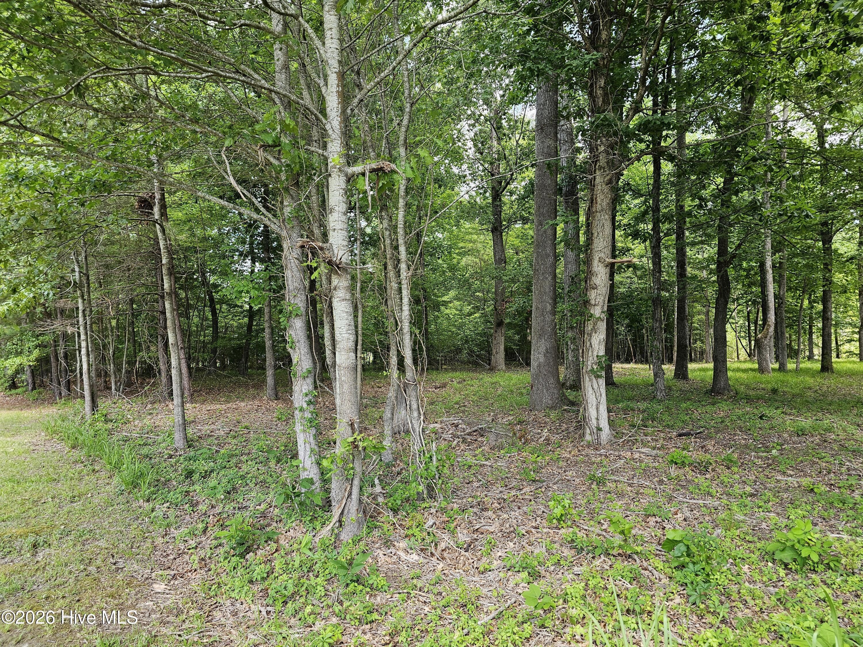 Image 3: DC_Lot58_2