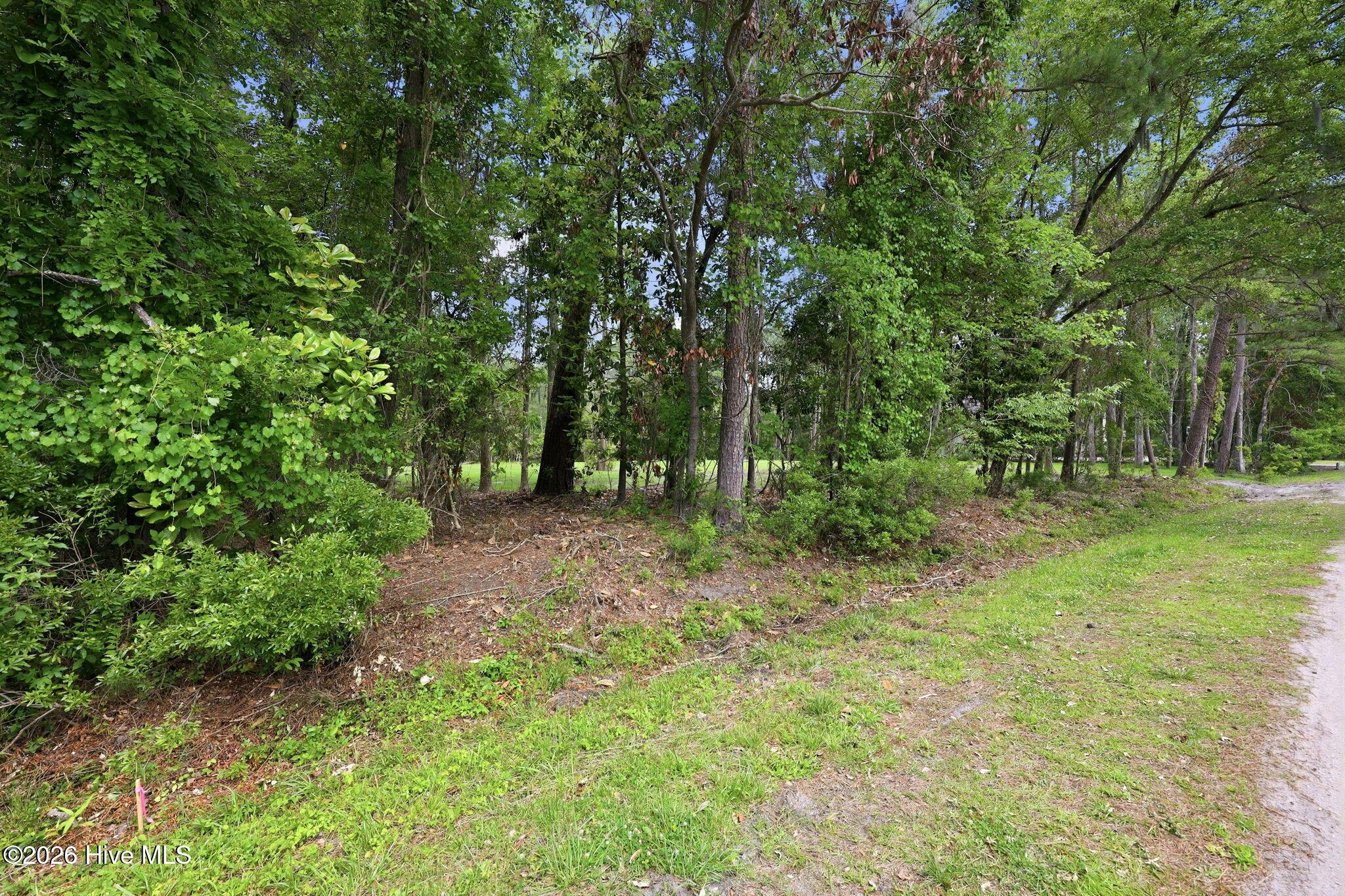 Image 3: 5-web-or-mls-0C0A6929