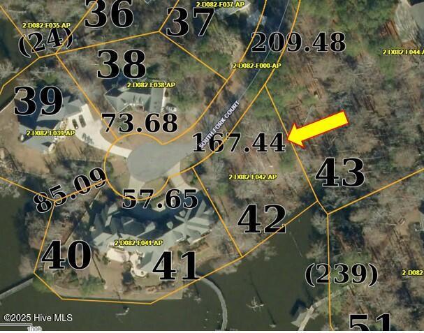 Image 2: 113 South Fork Ct