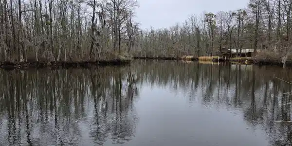 0 Pintail Lane