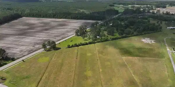 Image 2: 1