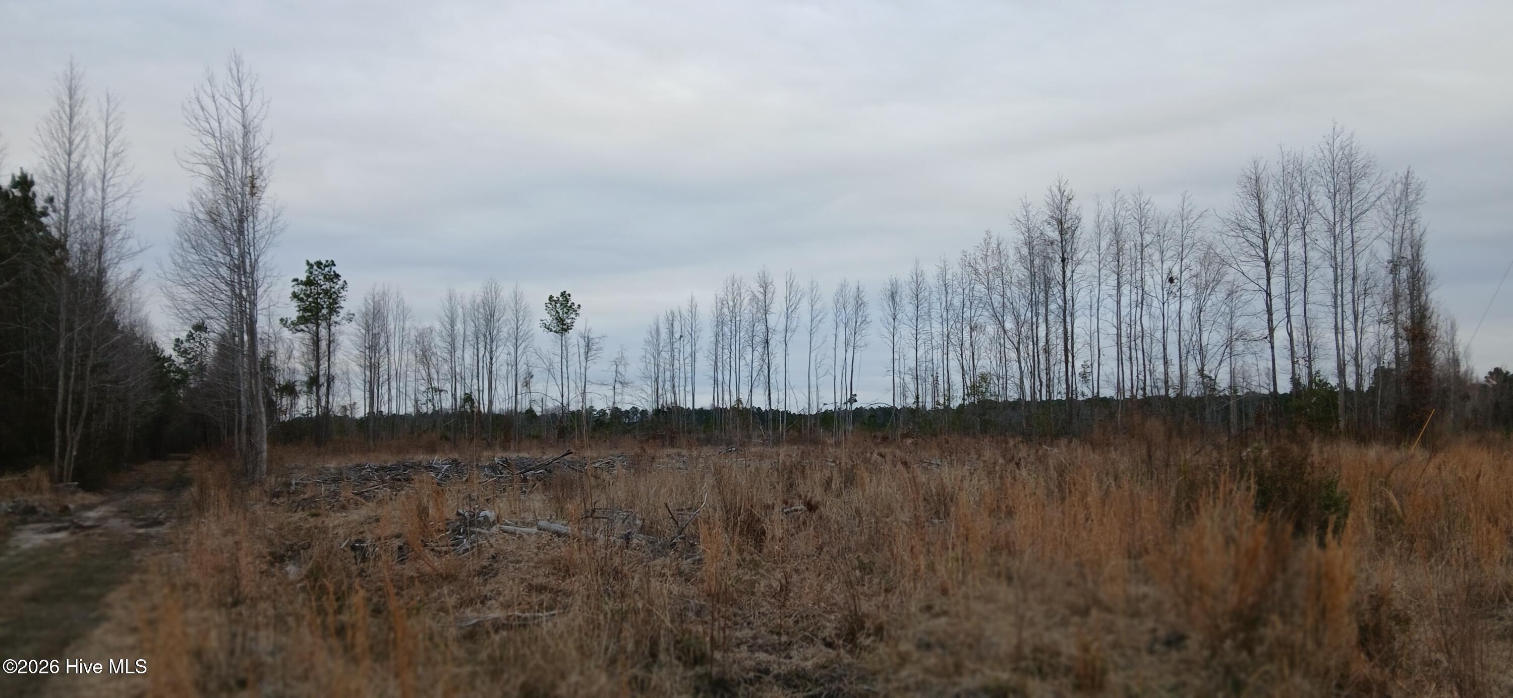 Image 4: 20260302_165259