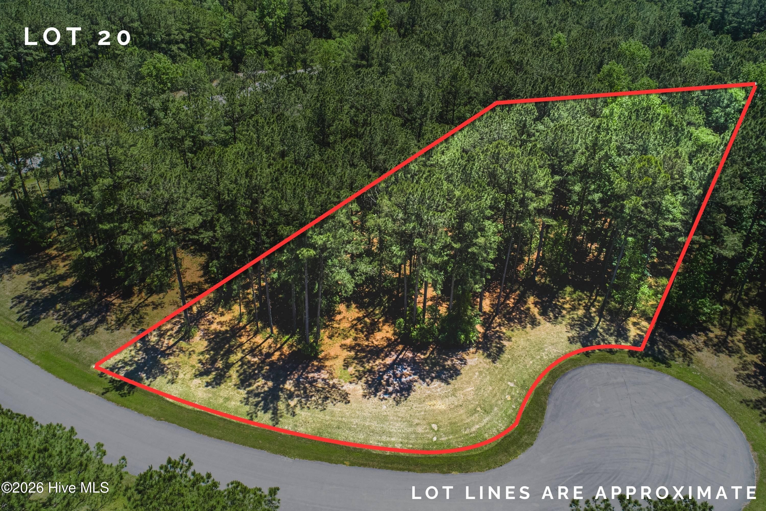 Image 2: Lot 20 red lines (2)