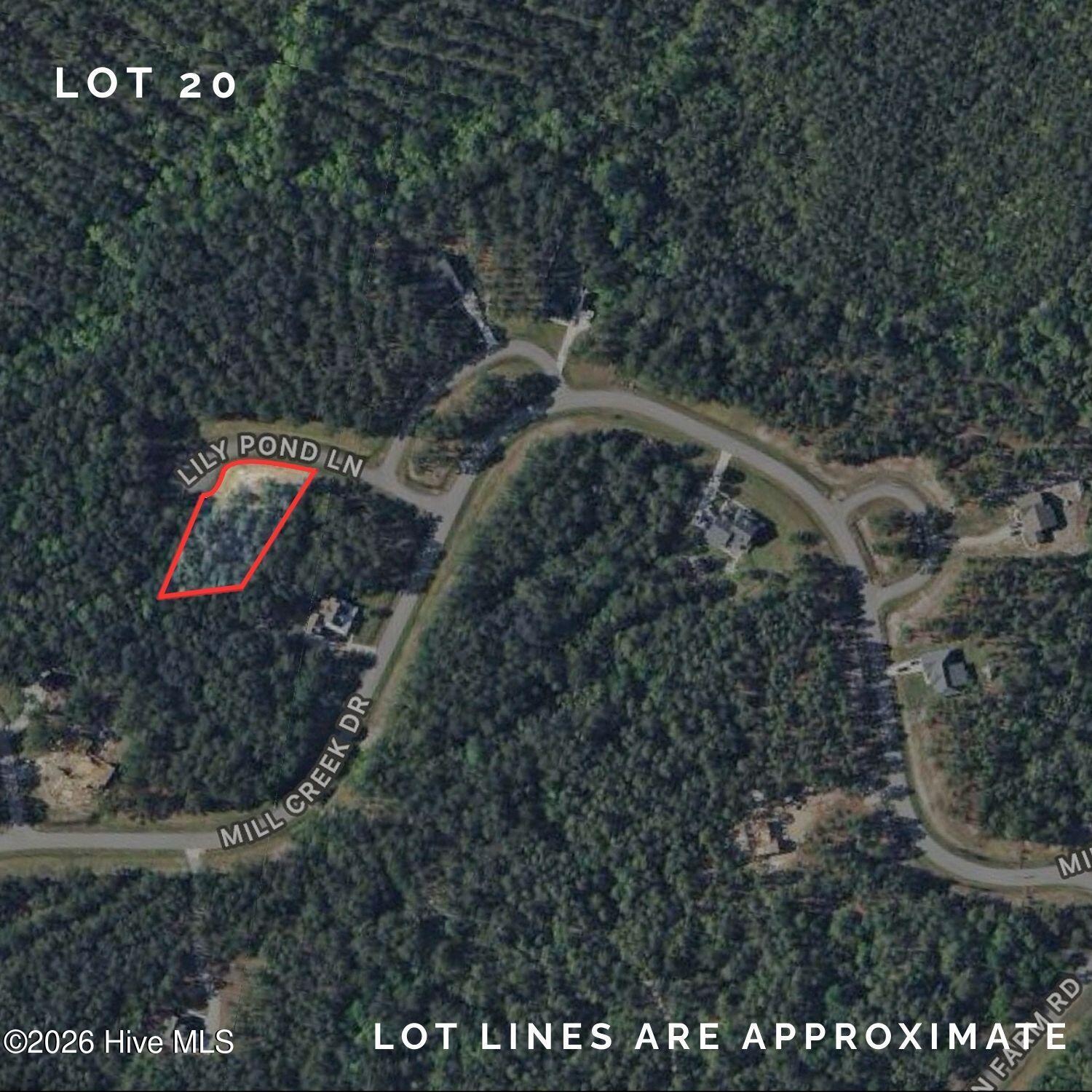 Image 3: Lot 20 (2)