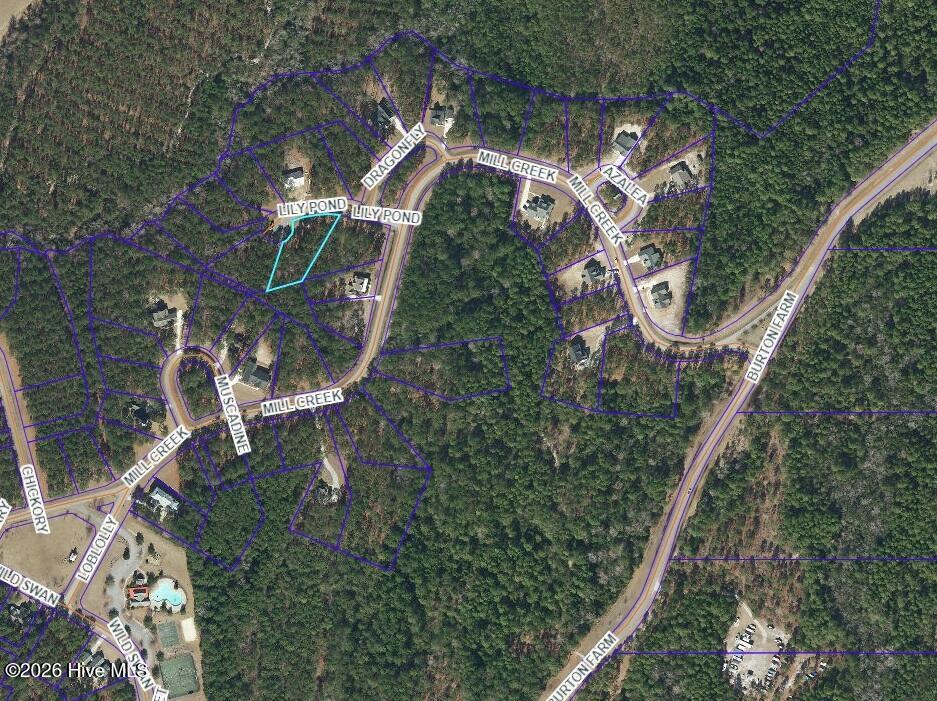 Image 4: lot 20