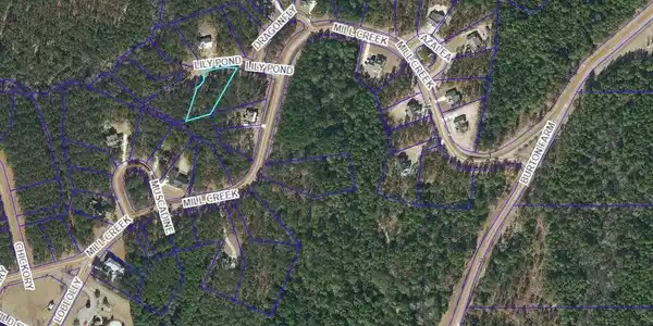 Image 4: lot 20