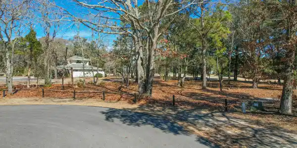 Image 3: 3056PurpleFinchLnSW - 3
