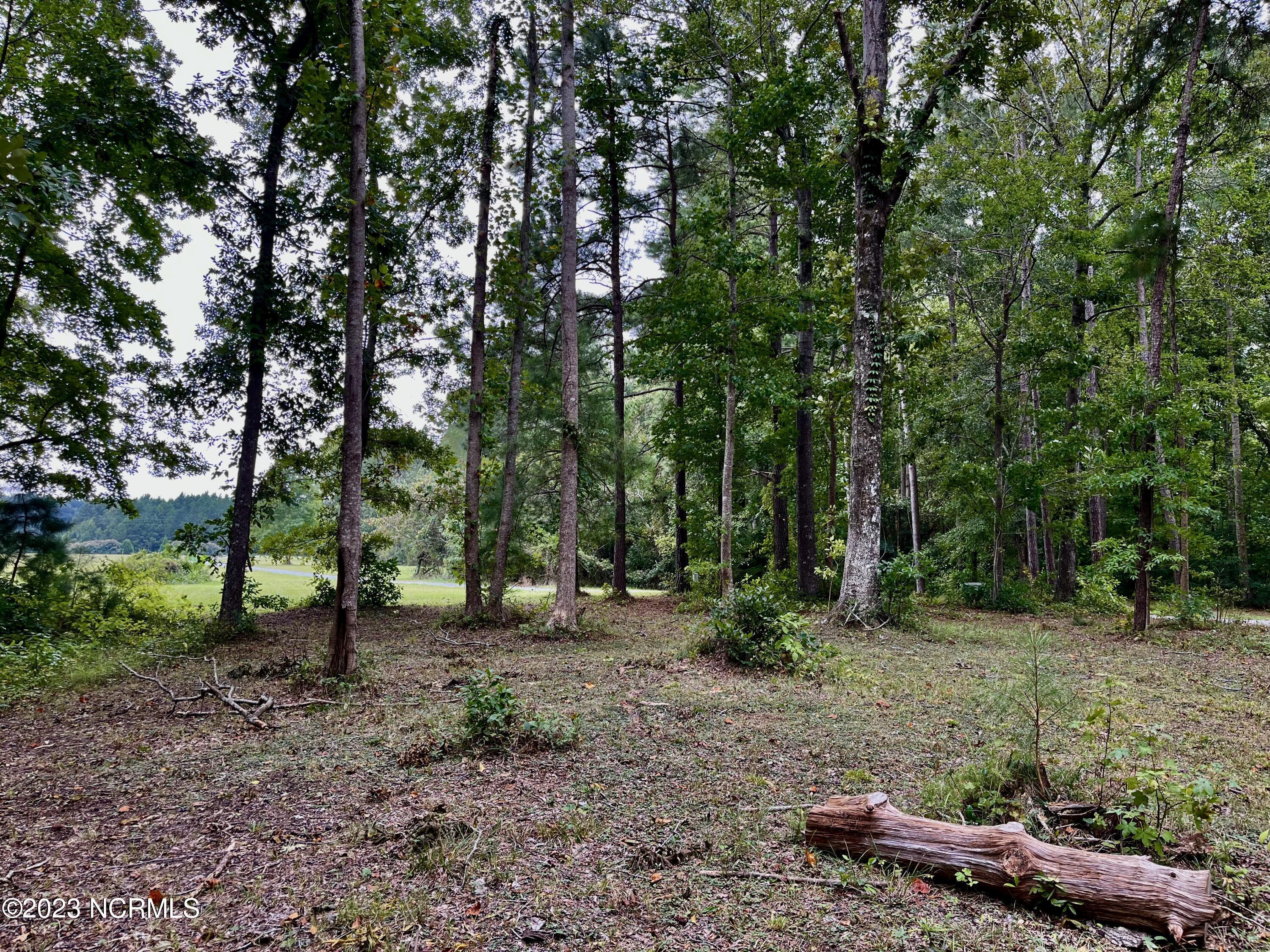 Image 1: Lot
