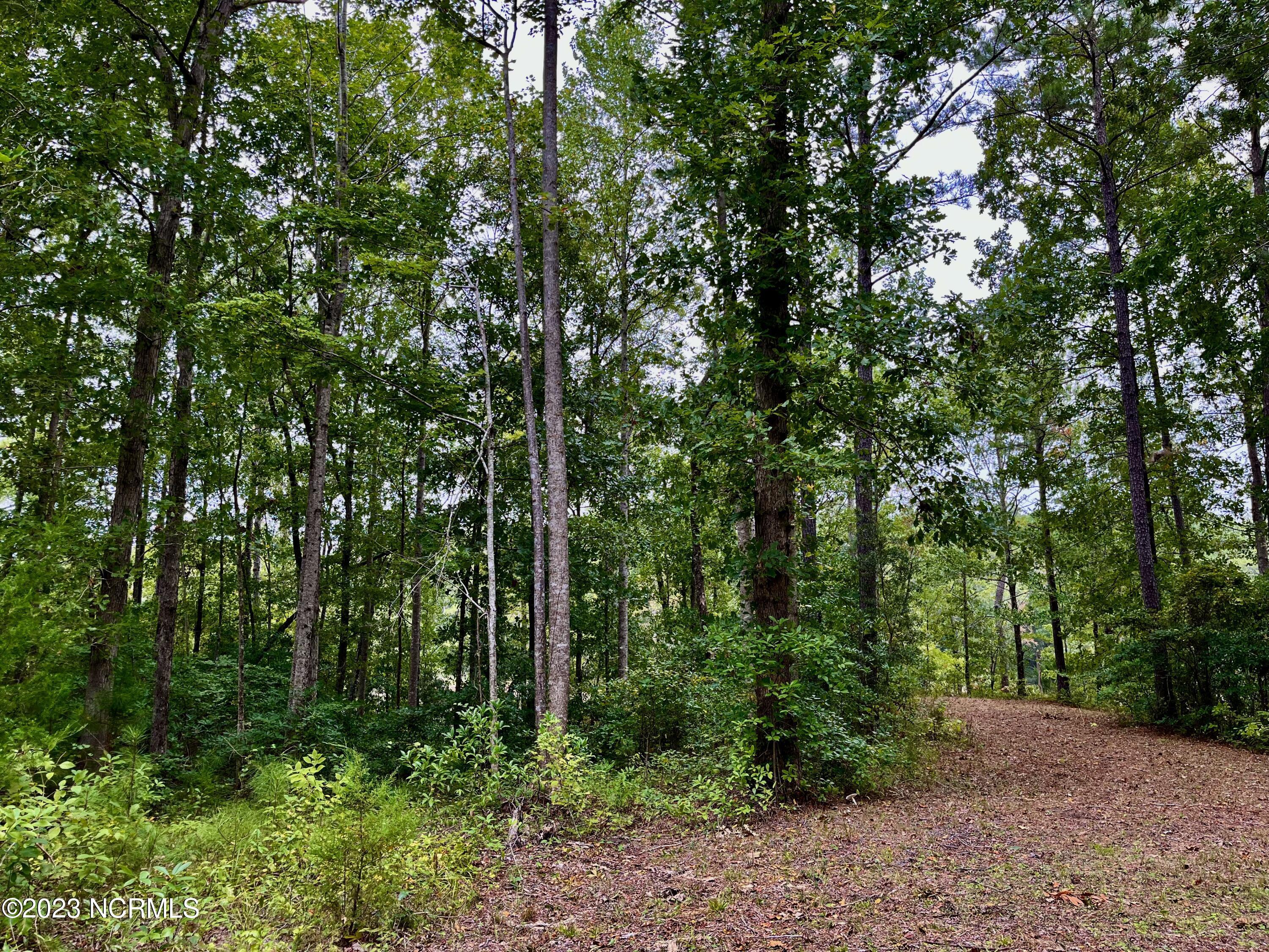 Image 4: Lot