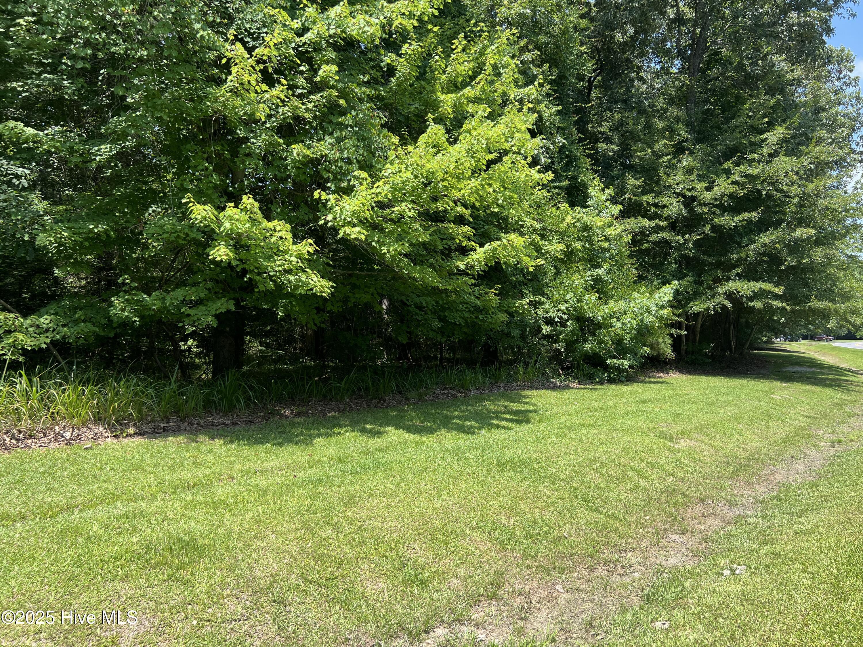 Image 2: lot 62 pic2
