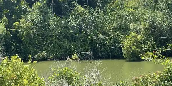 Lot 204a Sandpiper Drive