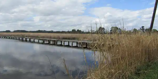 Image 3: IMG_2067