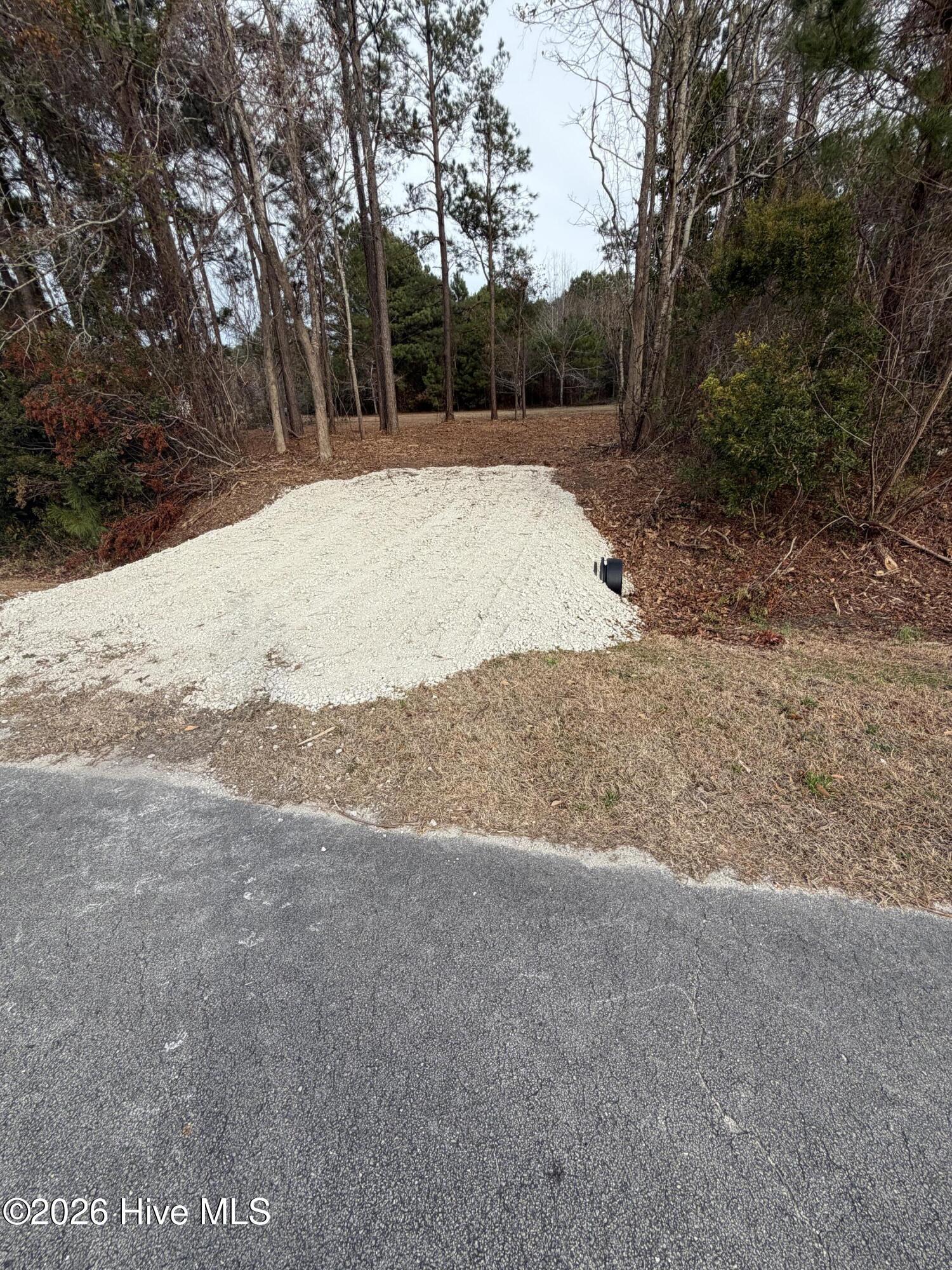 Image 4: lot driveway 2