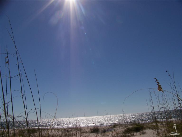 Image 4: Primary Photo