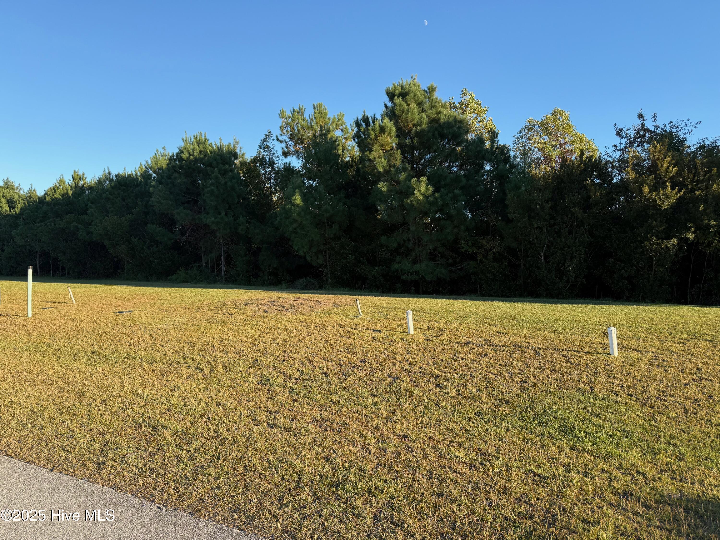 Image 2: IMG_1374