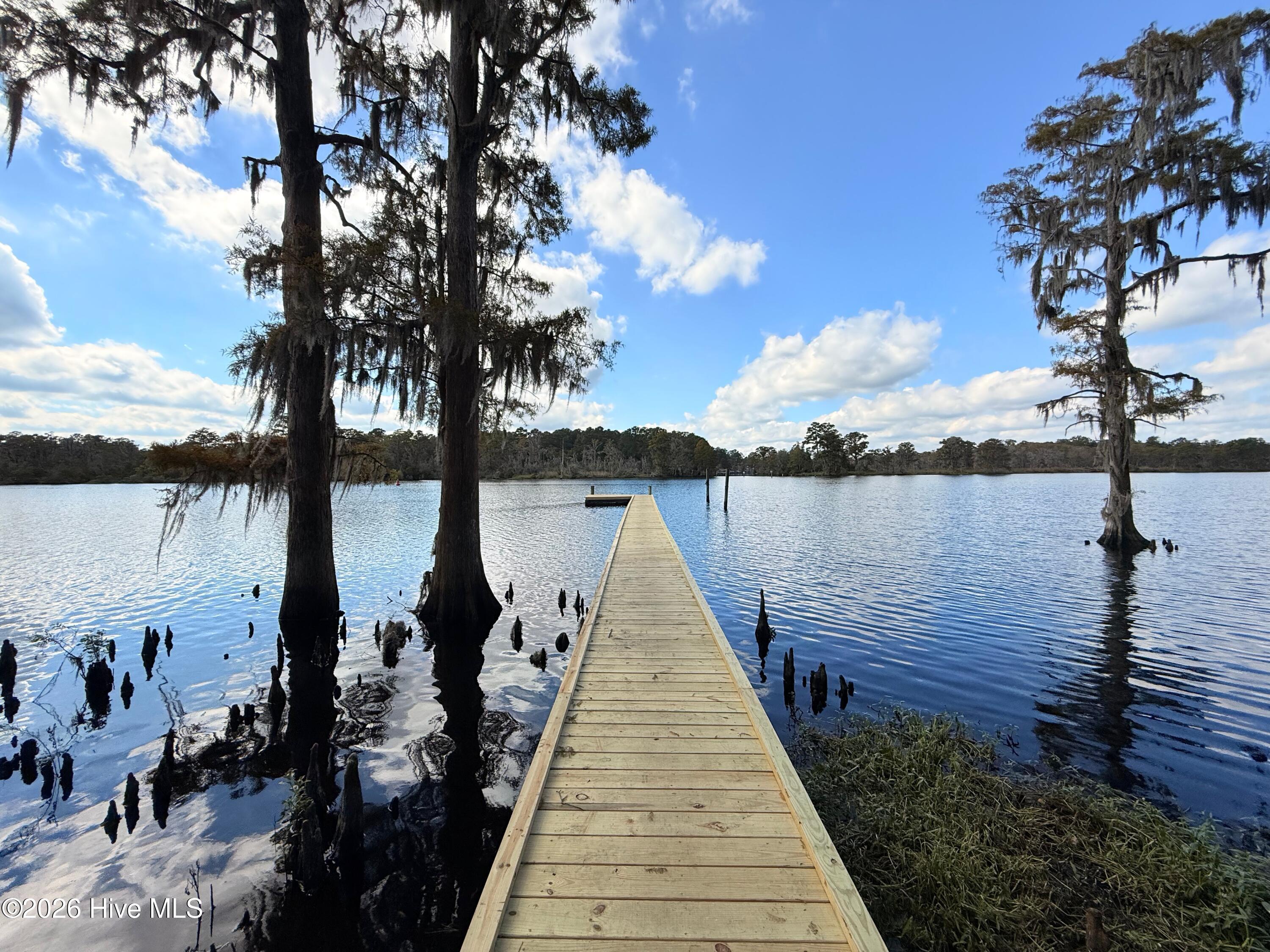 Image 3: Private Dock