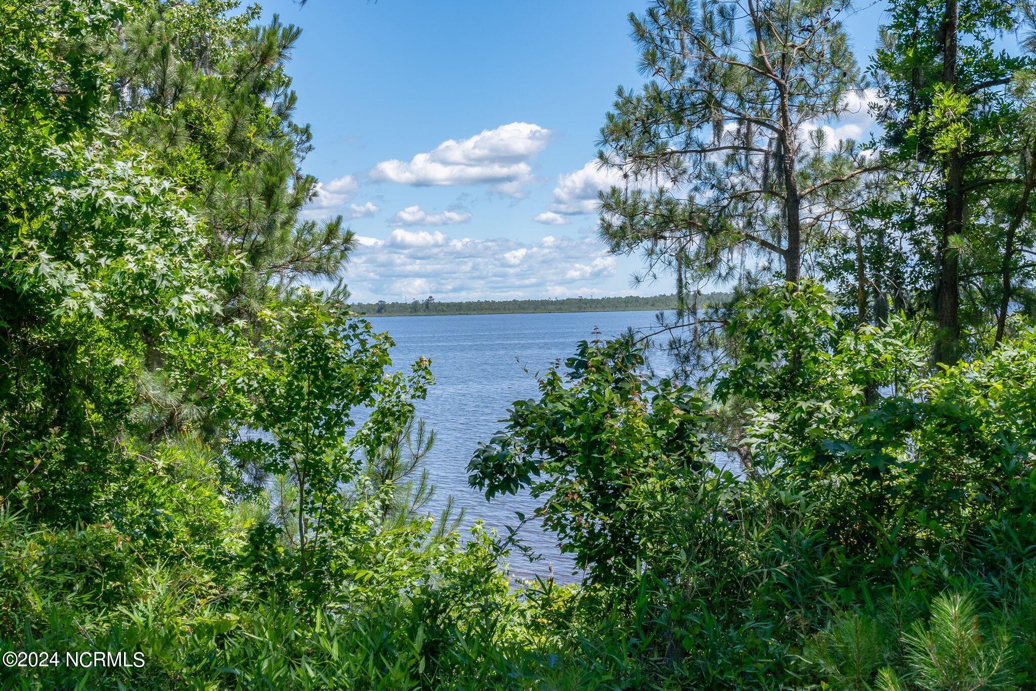 Image 3: mls_1306 Green Springs-4