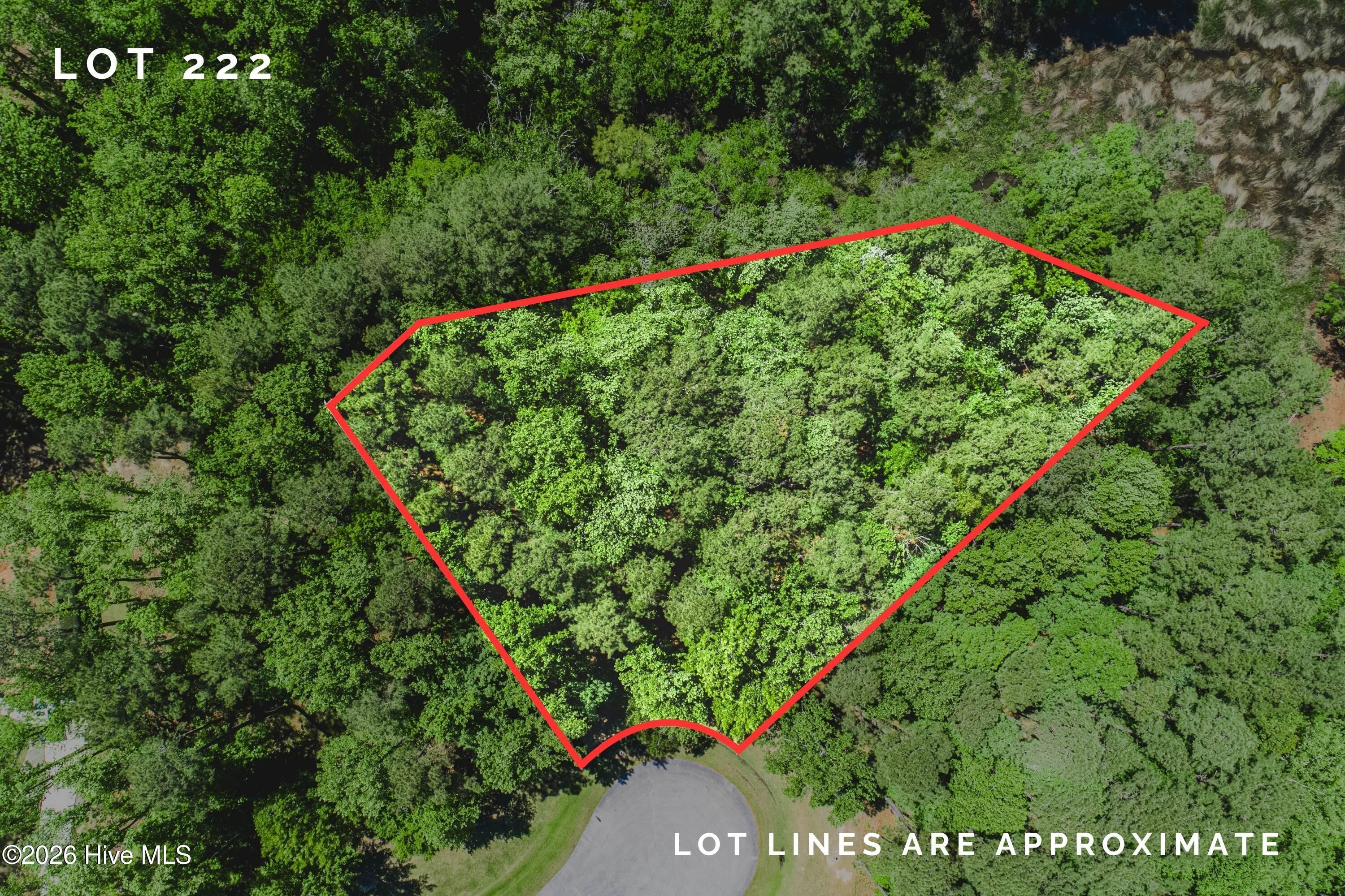 Image 2: Lot 222 - red lines (1)
