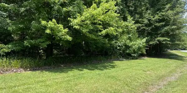 Image 2: lot 62 pic2