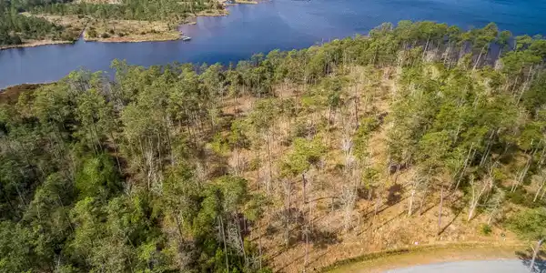 Image 2: DJI_0477
