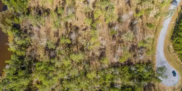 Image 3: DJI_0478