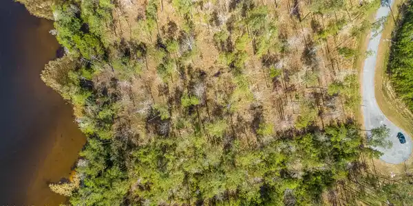 Image 4: DJI_0479