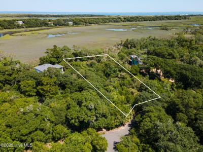 2025 Palmetto Cove