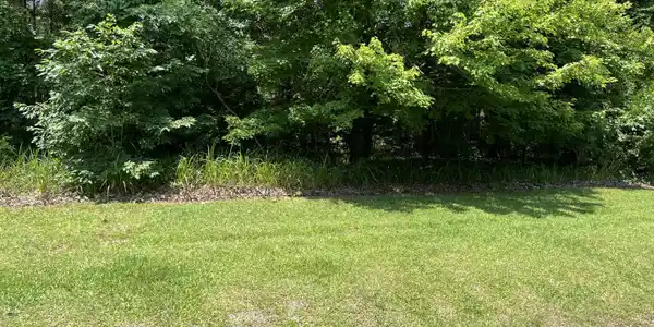 Image 3: lot 62 pic
