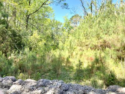 Lot 2 Berrys Creek Road