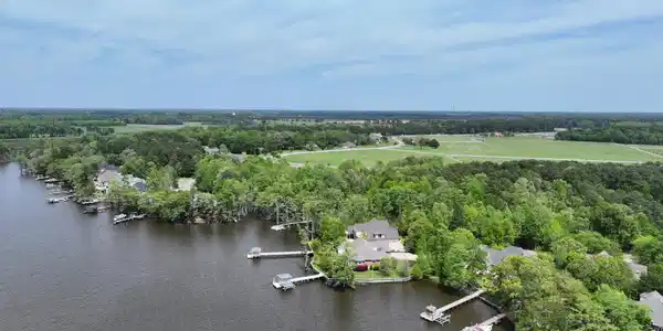 Image 2: DJI_20250419133754_0440_D