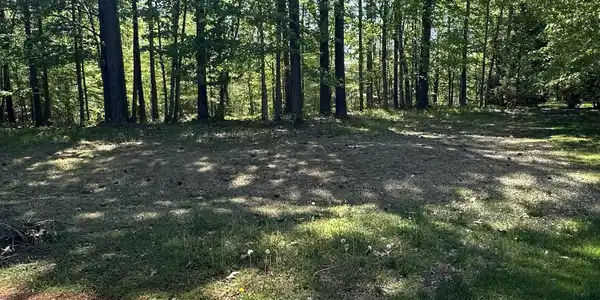 Image 3: Mattaponi 3