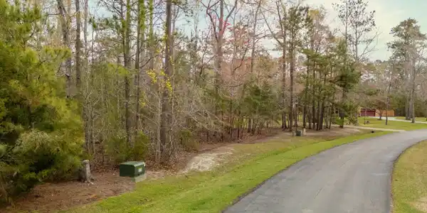 Image 4: 225 Winding Creek Drive