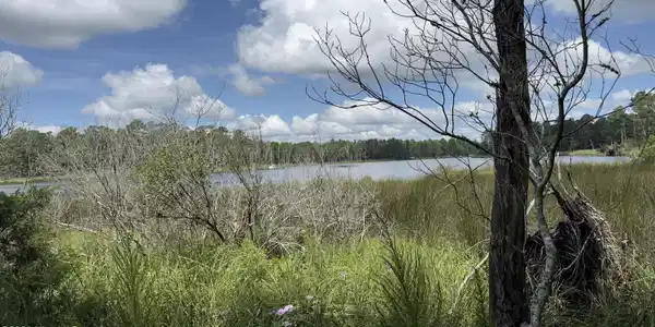Lot 73 Bailey Pointe
