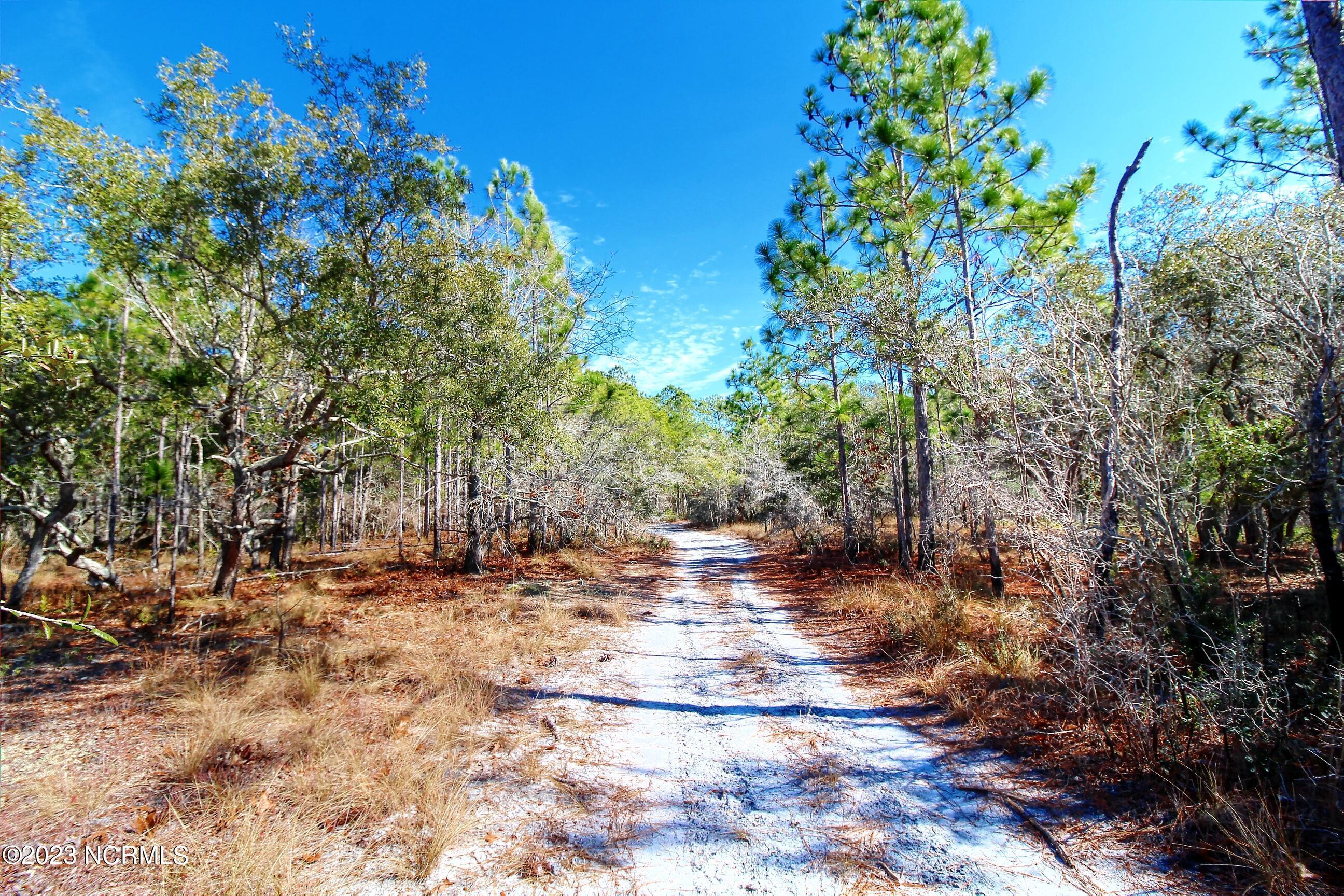 Image 4: Land