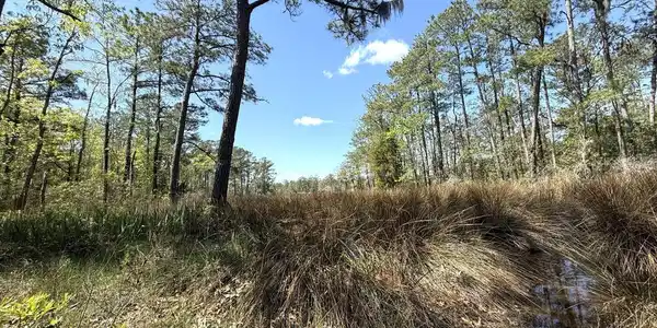 Lot 48 Sunset Point