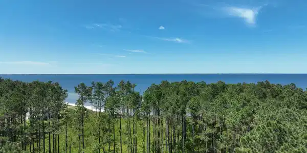 Image 3: DJI_0751