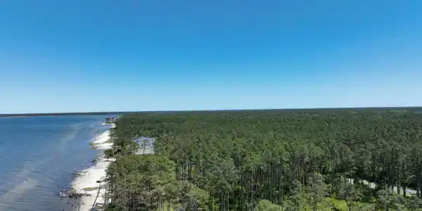 Image 4: DJI_0752