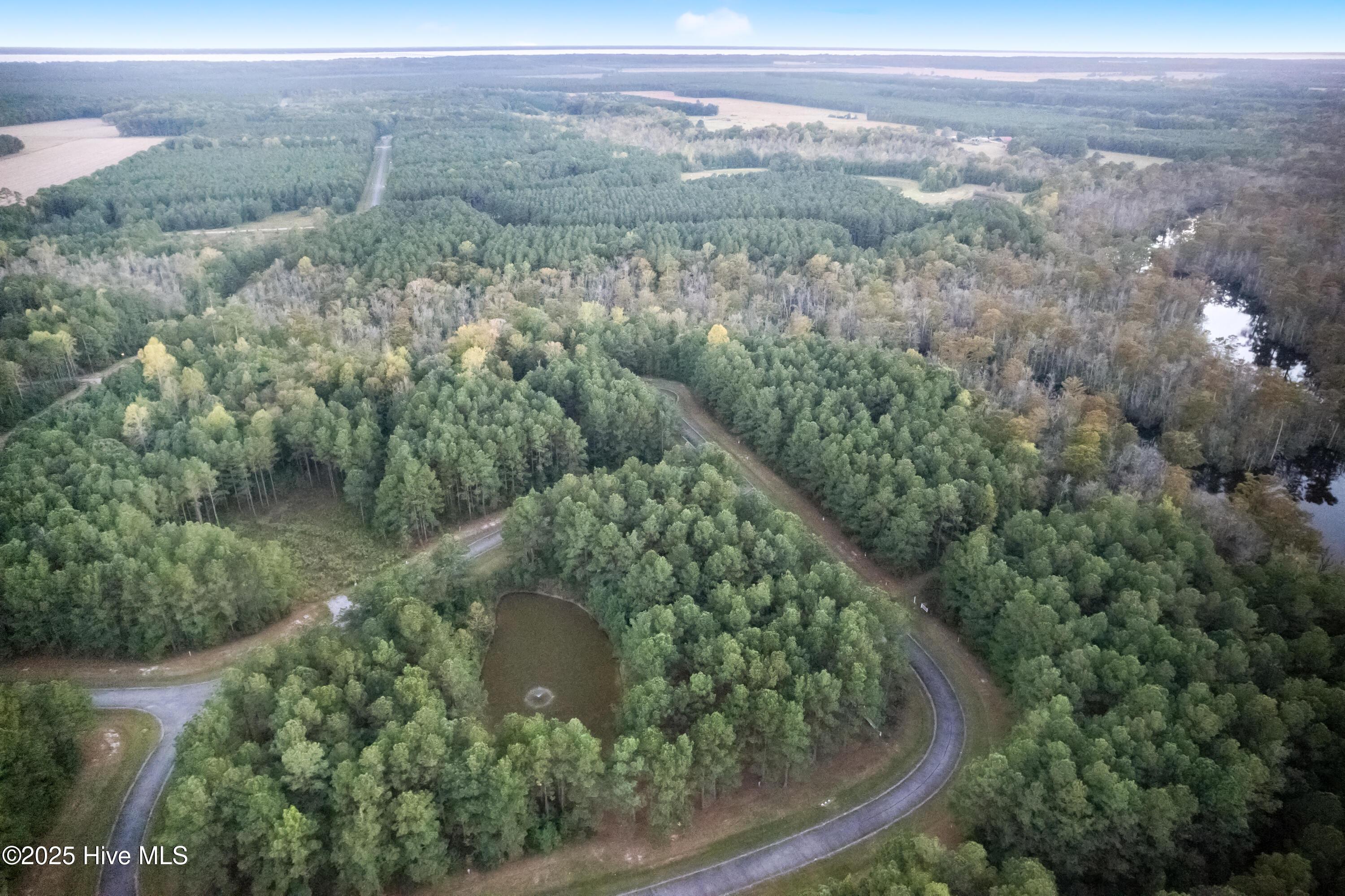 Image 2: DJI_0860