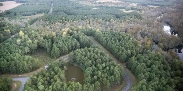 Image 2: DJI_0860