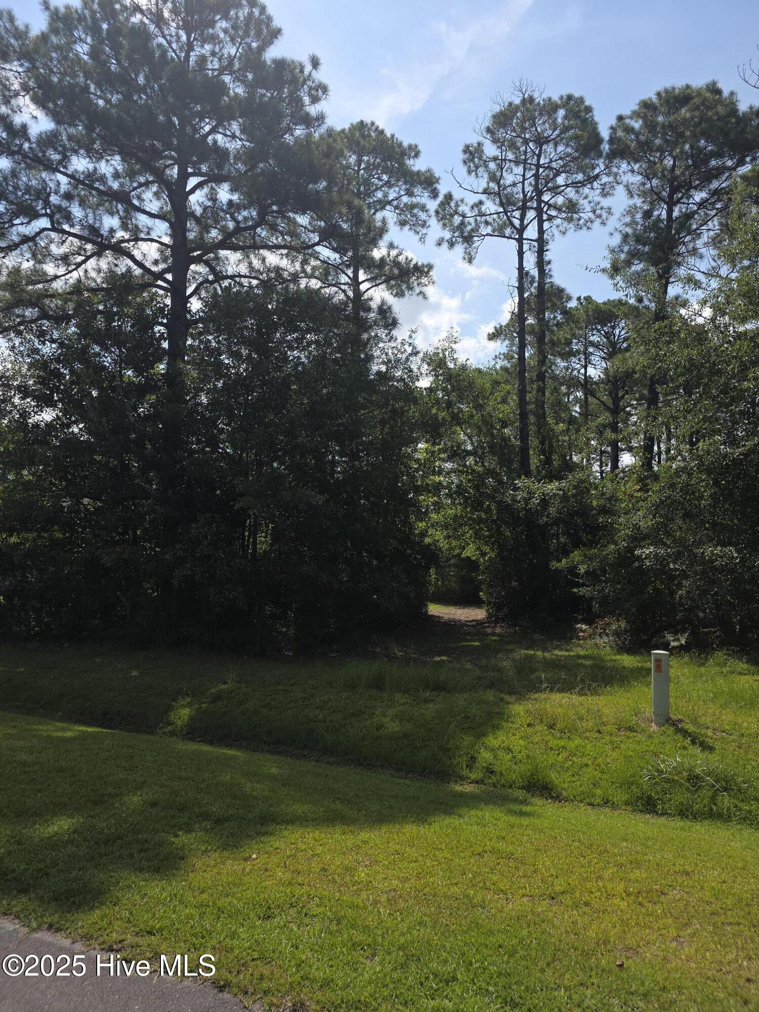 Image 3: 20250730_104247
