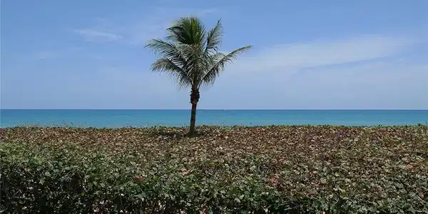 10600 S Ocean Drive