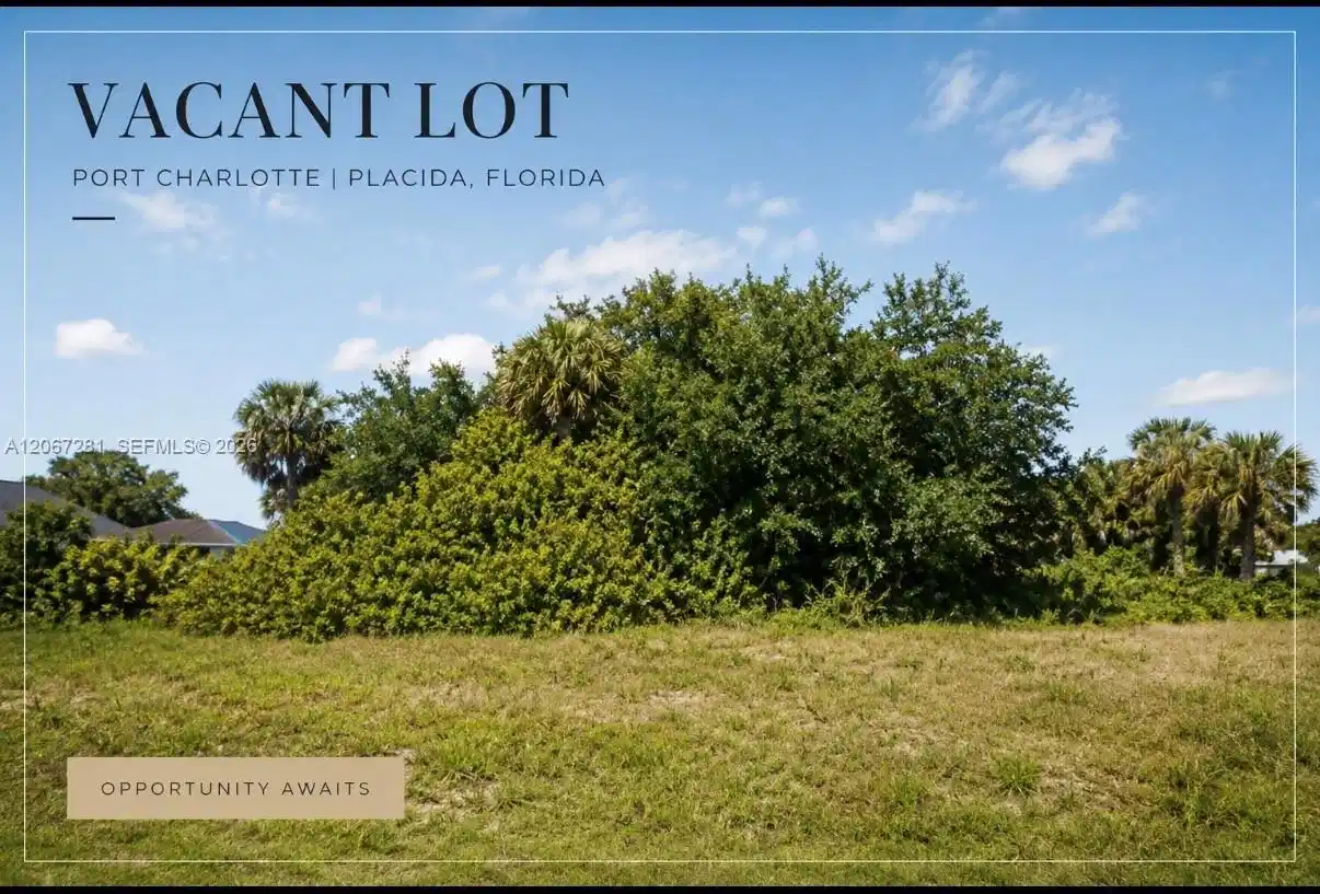 Image 1: 10,000 sq ft Lot Residential Vacant Land