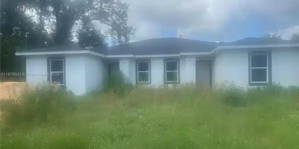 382 Bamboo DR