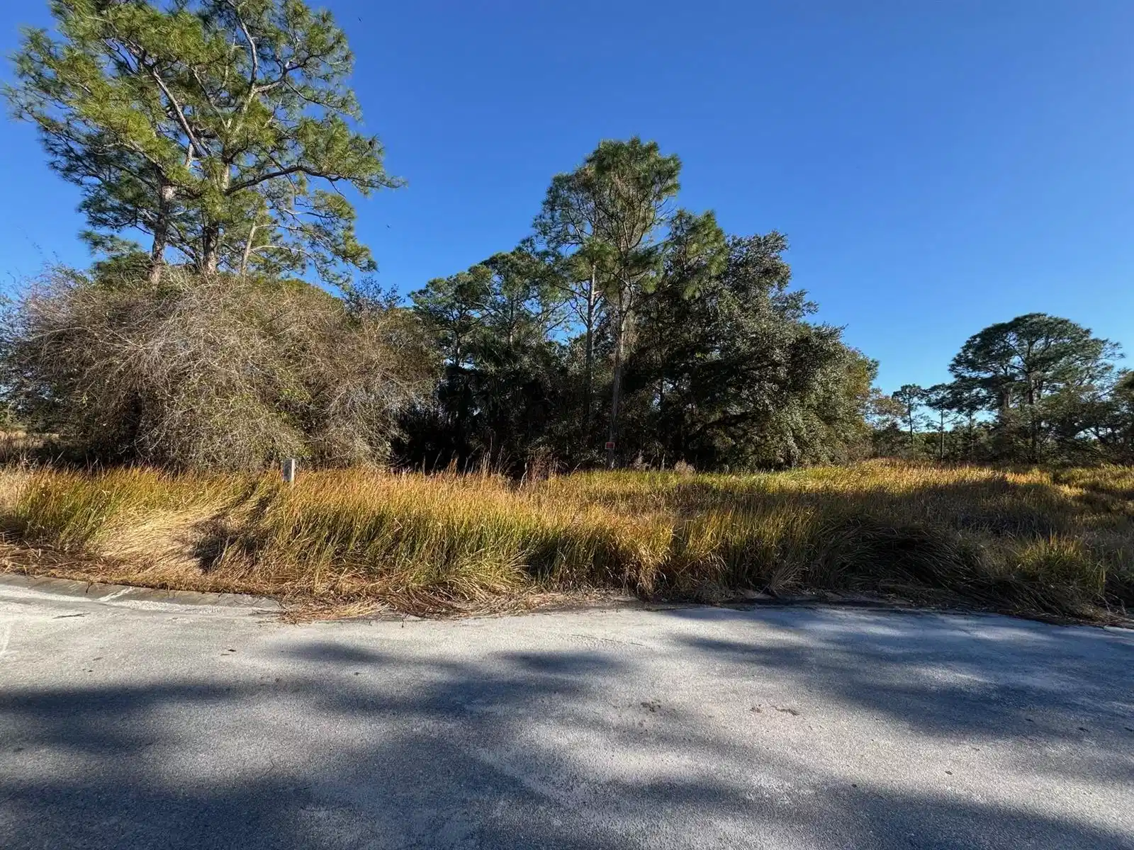 Image 1: OSKING PHOTO 2