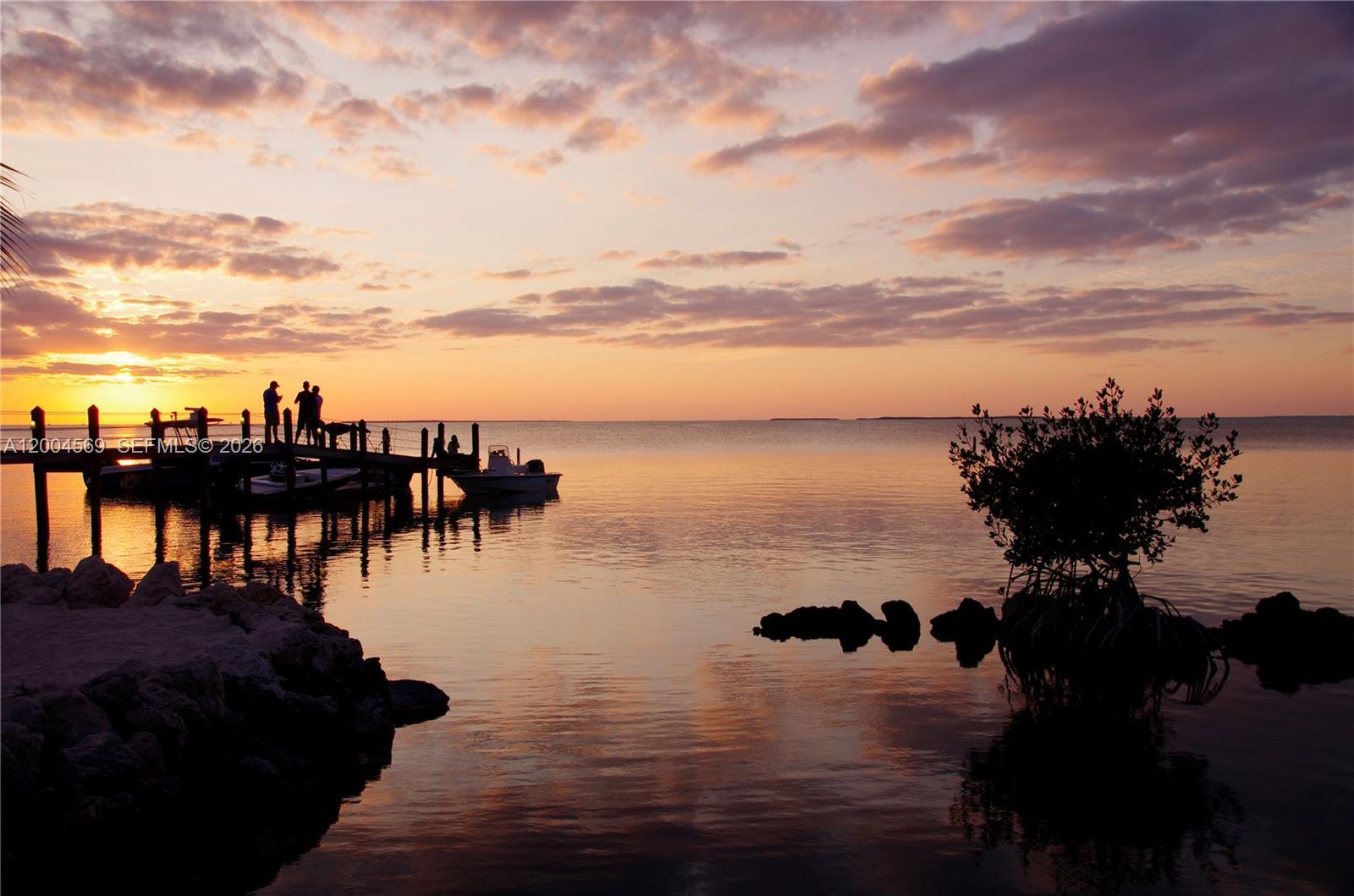 Image 4: steps away from Snappers